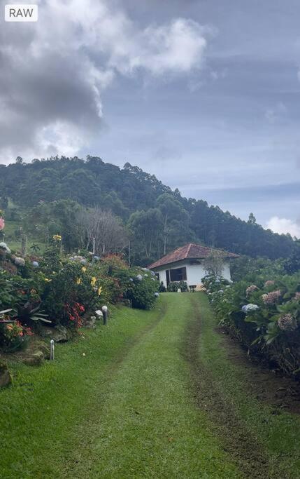 Sitio Com Piscina Natural E Cascata, Com Linda Vista Em Lumiar. Zewnętrze zdjęcie