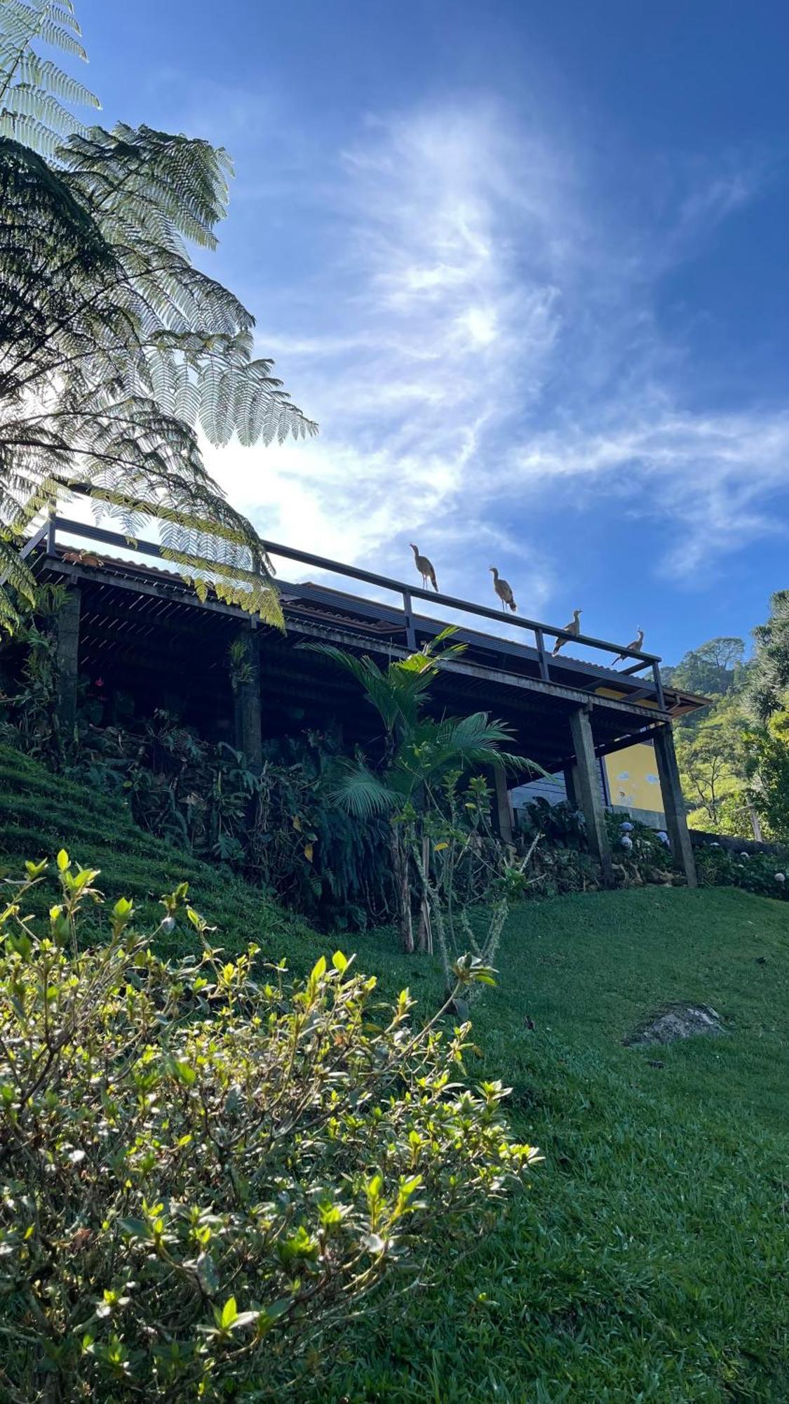 Sitio Com Piscina Natural E Cascata, Com Linda Vista Em Lumiar. Zewnętrze zdjęcie
