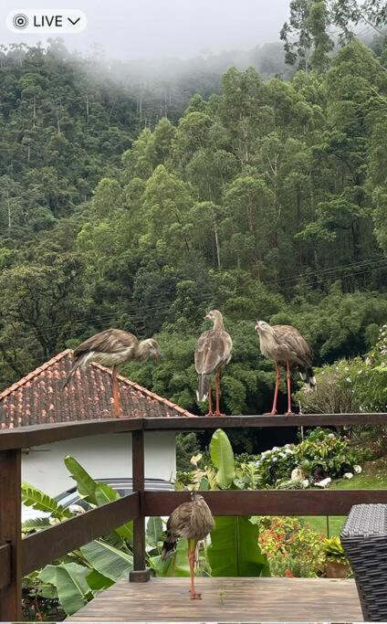 Sitio Com Piscina Natural E Cascata, Com Linda Vista Em Lumiar. Zewnętrze zdjęcie