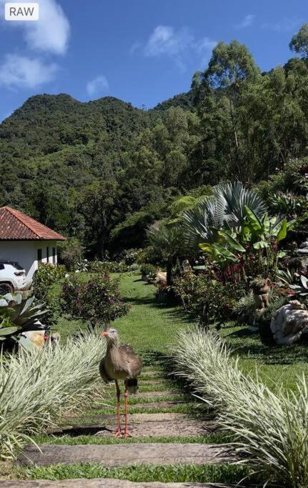 Sitio Com Piscina Natural E Cascata, Com Linda Vista Em Lumiar. Zewnętrze zdjęcie